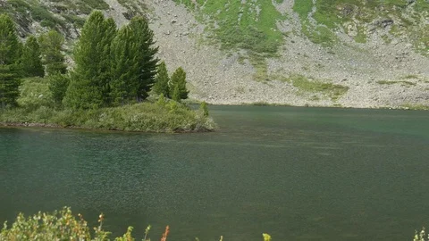 Mountain lake Manas. Static view to the lake and island with cedars. Altai. Stock Footage 84698311