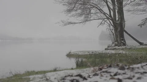 Mountain lake in the mist Stock Footage 279629757