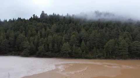 Mountain lake with muddy water beneath fog covered fir and pine forest Stock Footage 344096006