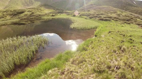 Mountain lake over which flying insects, which breed in the summer of newts Stock Footage 40699445