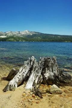 Mountain lake. Stock Photos