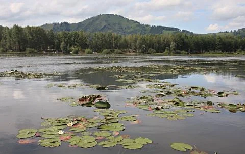 Mountain lake Stock Photos
