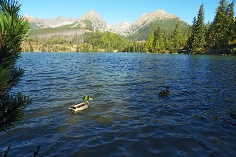 Mountain Lake Stock Photos
