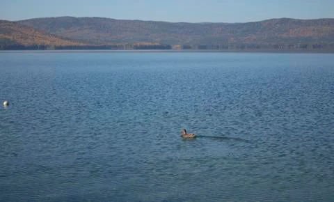 Mountain lake Stock Photos