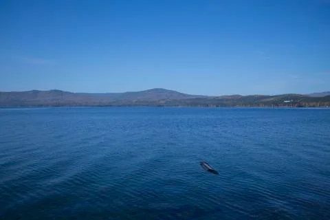 Mountain lake Stock Photos