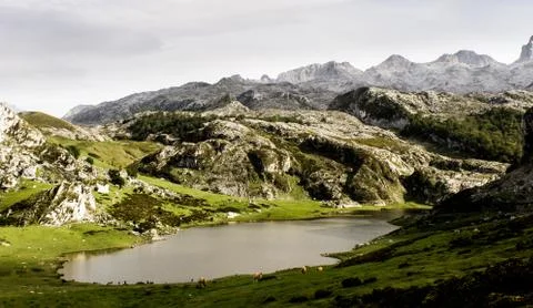 Mountain Lake Stock Photos