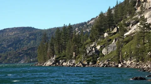 Mountain Lake with Pine Trees Swaying in Strong Breeze Stock Footage 334070990