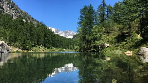 Mountain lake reflection with insects around camera Stock Footage 112216323