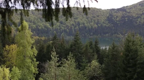 Mountain lake seen between fir tree branches Stock Footage 63379079