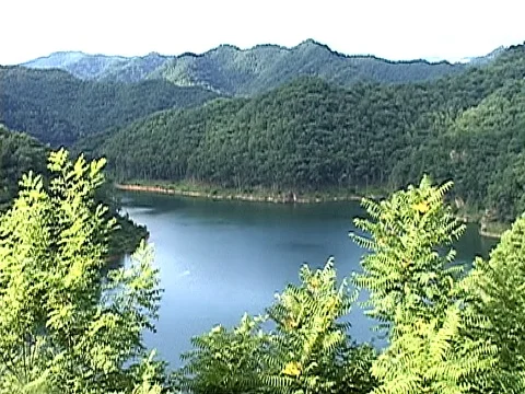 Mountain lake in summer 스톡 동영상 74740486