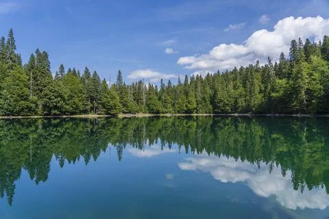 Mountain lake surrounded by dense coniferous and forest. Montenegro, Europa Stock Photos