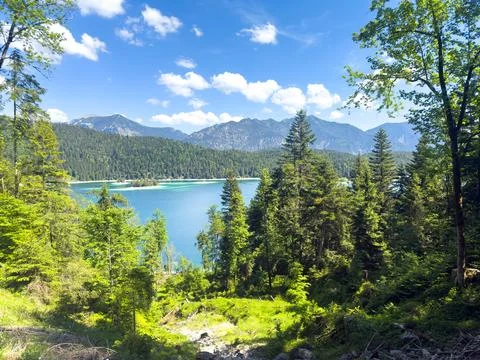 Mountain Lake Surrounded by Dense Forest Wilderness Fotos Stock