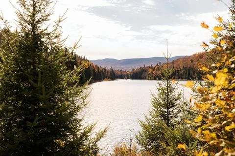 A mountain lake surrounded by forest trees. Stock Photos