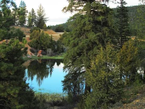 Mountain Lake Surrounded by Pine, Juniper and Cedar Trees Under Gray Sky Stock Photos
