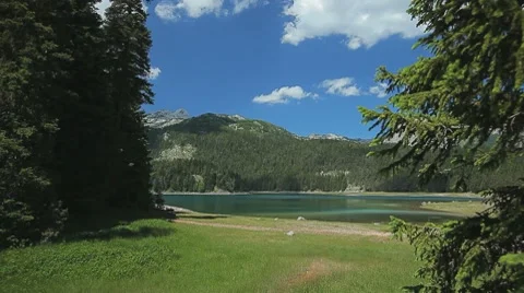 Mountain lake surrounded by thick pine trees forest on a sunny day Stock Footage 8555894