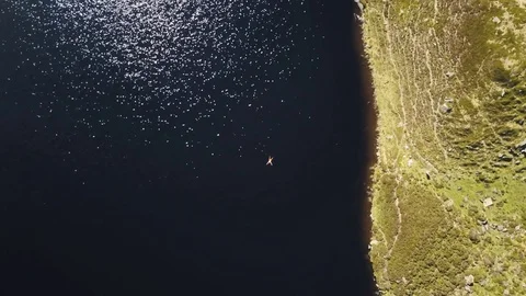 Mountain lake swim Stock Footage 82353318