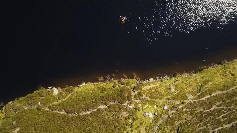 Mountain lake swim. looking down at swimmer Stock Footage 82352679