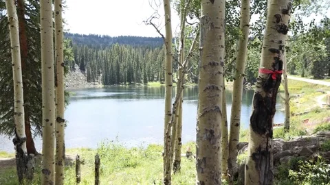 Mountain Lake Timelapse Stock Footage 101315579