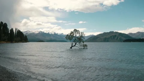 Mountain lake with tree growing out of the water 動画素材 140611988