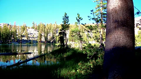 Mountain Lake Tree Shadows Timelapse Stock Footage 52266423