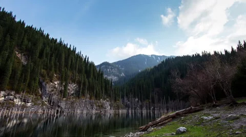 The mountain lake with trees inside Video stock 63552760