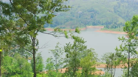Mountain Lake View Through Green Trees and Hillside Landscape Stock Footage 327522352