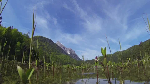 Mountain landscape above water surface of a lake with plants in foreground. Stock Footage 38731364