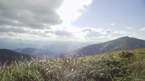 Mountain landscape, alpine meadows, green mountain and grass close-up Stock Footage 233987026