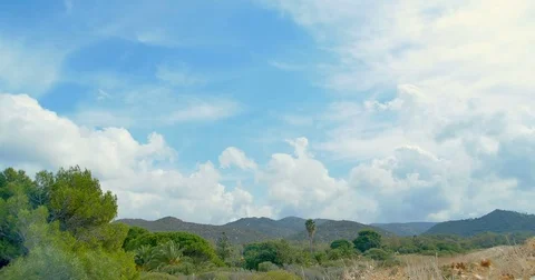 Mountain landscape and clouds. Palms and trees Stock Footage 82541033