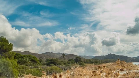 Mountain landscape and clouds. Palms and trees. Timelapse Stock Footage 82756193