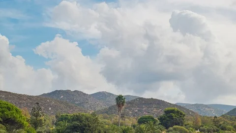 Mountain landscape and clouds. Palms and trees. Timelapse Video stock 82790046