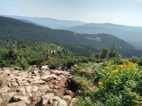 Mountain landscape and forest horizontal color photo image Stock Photos