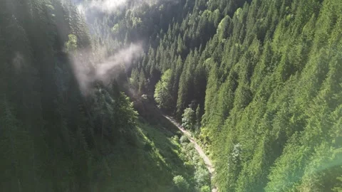Mountain landscape between Paltinis and Rasinari Stock Footage 260412008