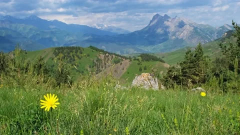 Mountain landscape with blooming meadows Video stock 189274711