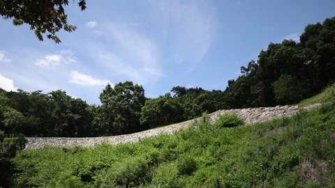 Mountain landscape with blue sky Video stock 310215959