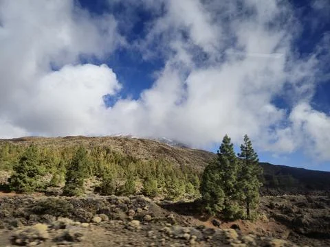 Mountain Landscape with Clouds and Pine Trees Stock Photos