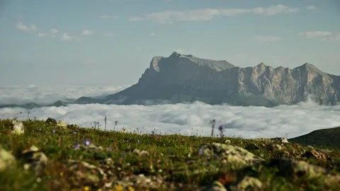 Mountain landscape with clouds and wildflowers, parallax movement to the side Stock Footage 341355574
