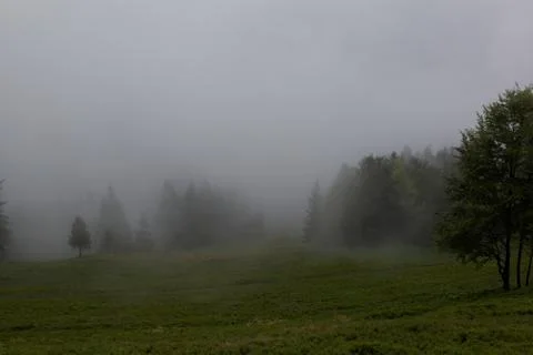 Mountain landscape. clouds in the mountain forest. Stock Photos