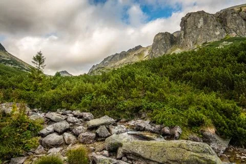 Mountain Landscape on Cloudy Day Stock Photos
