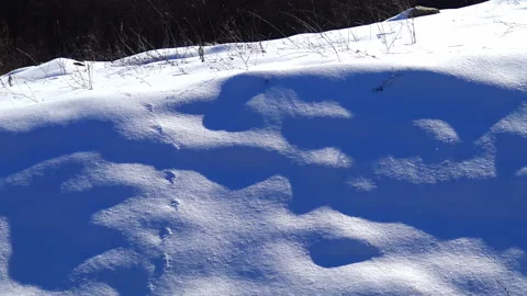 Mountain landscape covered with snow during winter day. Stock Footage 207565353