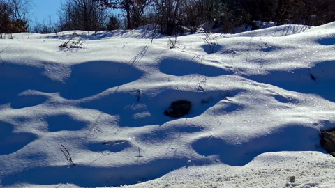 Mountain landscape covered with snow during winter day. Video stock 207566116