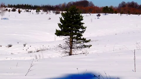 Mountain landscape covered with snow. Stock Footage 208756929