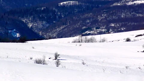 Mountain landscape covered with snow. Stock Footage 208869908