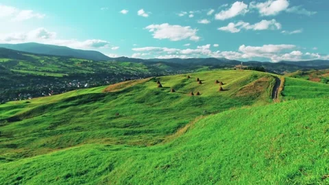 Mountain landscape. cows graze on a background of green meadows. Stock Footage 144106318