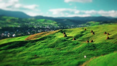 Mountain landscape. cows graze on a background of green meadows Stock Footage 220725859