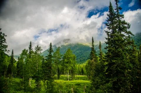 Mountain landscape. deciduous forest. cloud on top. morning light Stock Photos