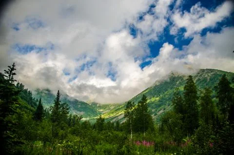 Mountain landscape. deciduous forest. cloud on top. morning light Stock Photos
