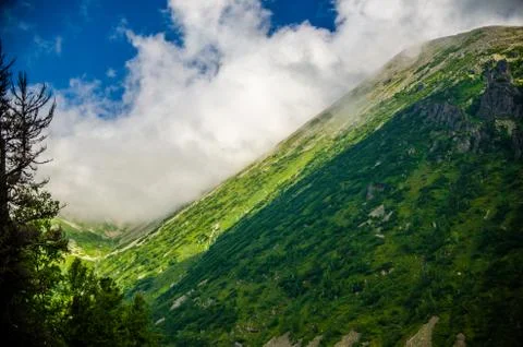 Mountain landscape. deciduous forest. cloud on top. morning light Stock Photos