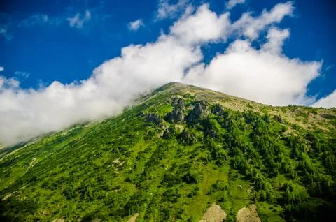 Mountain landscape. deciduous forest. cloud on top. morning light Stock Photos
