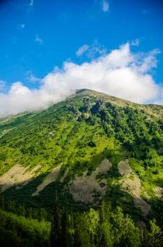 Mountain landscape. deciduous forest. cloud on top. morning light Stock Photos